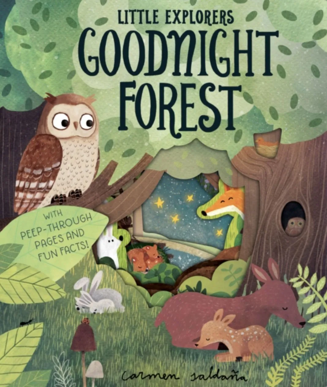 Goodnight Forest Story Sack with Puppet Company Finger Puppets