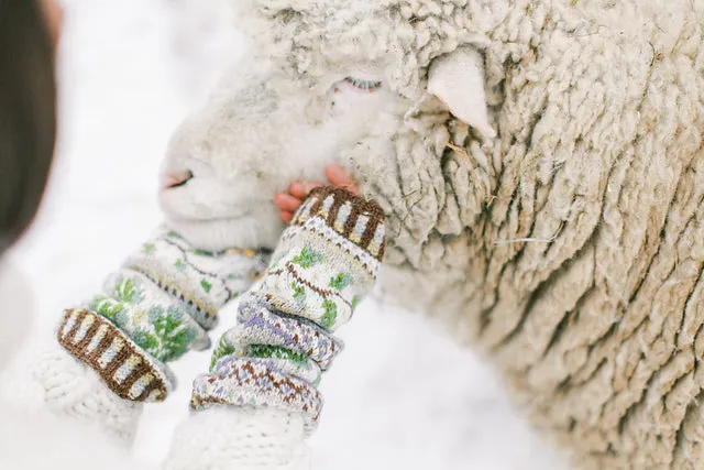Knits from Northern Lands
