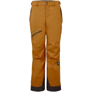 O'Neill Womens Gore-Tex Psycho Tech Pants 2024