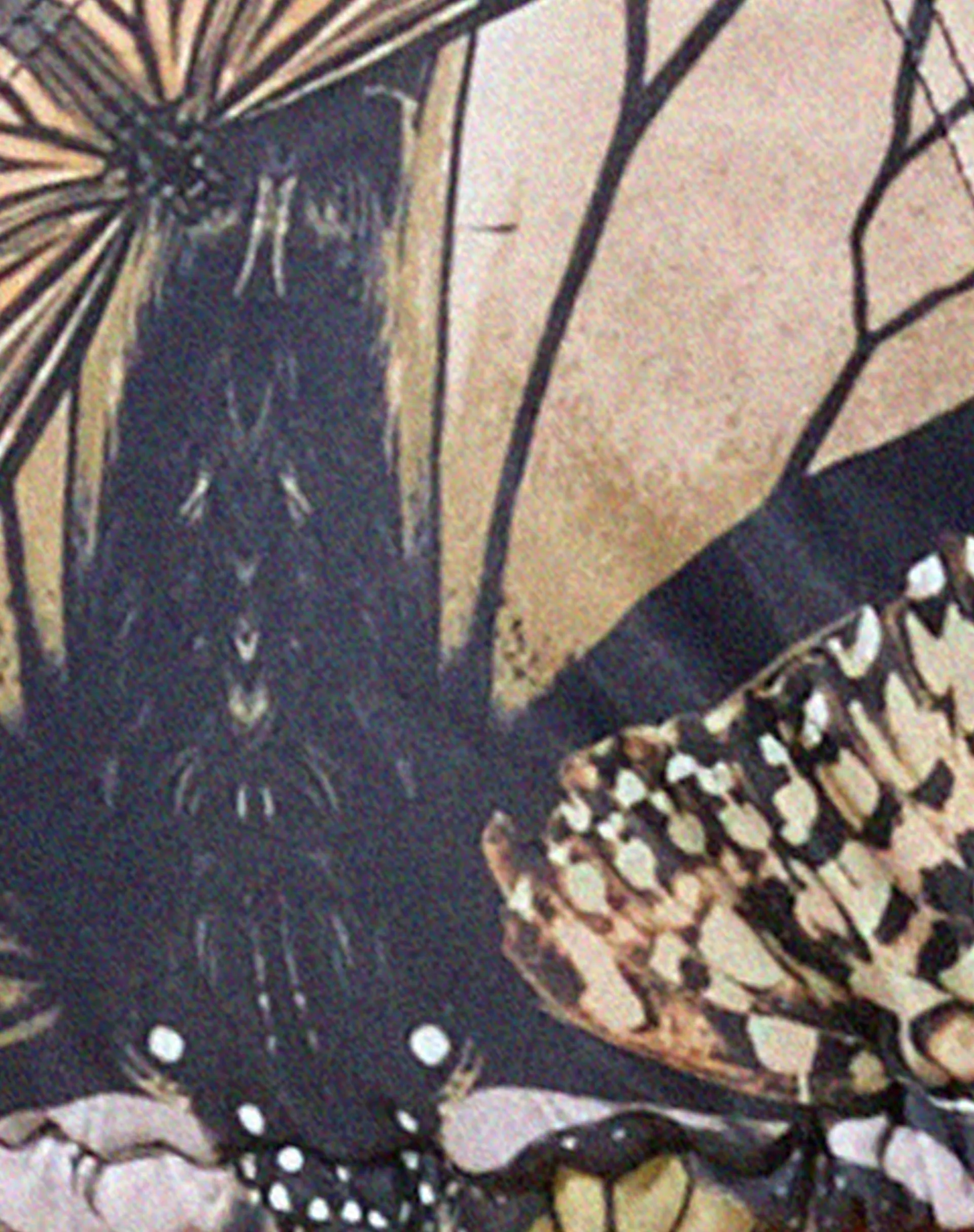 Parmia Bikini Top in Abstract Butterfly Gold