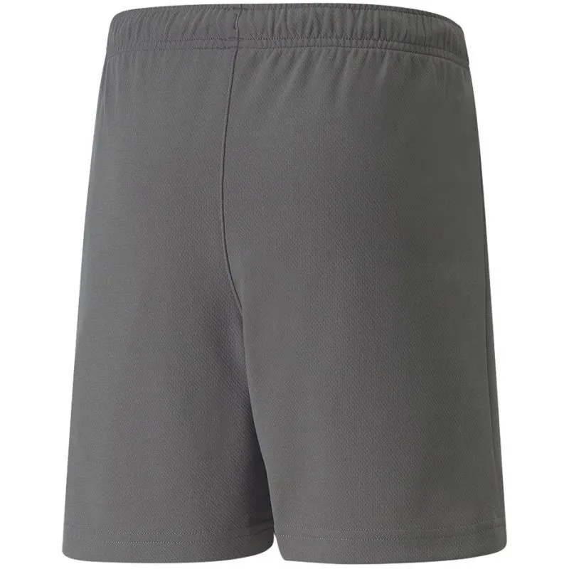 Puma Kids' Quick-Dry TeamRISE Training Shorts - Gray/Silver