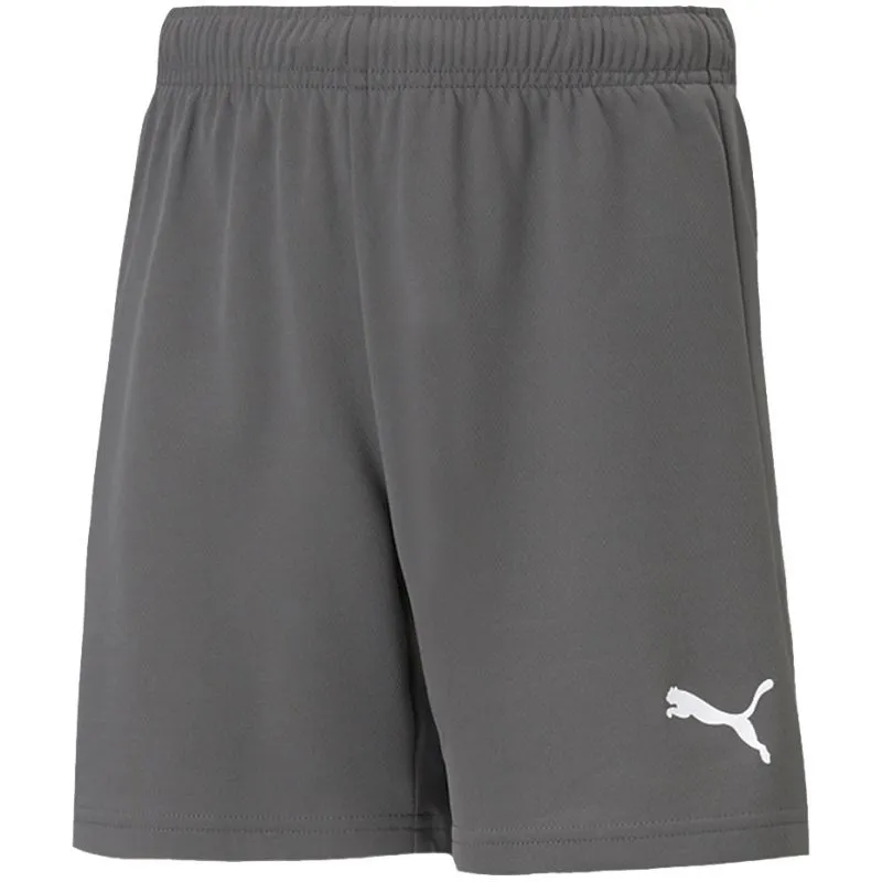 Puma Kids' Quick-Dry TeamRISE Training Shorts - Gray/Silver
