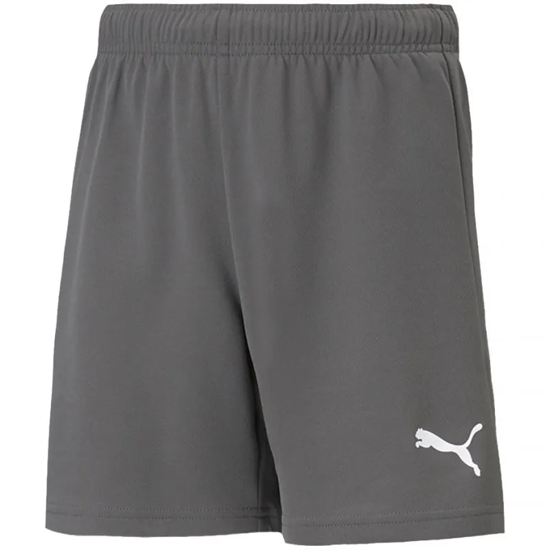 Puma Kids' Quick-Dry TeamRISE Training Shorts - Gray/Silver